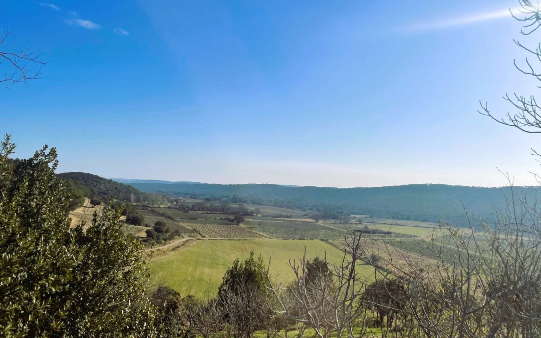Pic Saint-Loup Circuits oenotouristiques région Occitanie